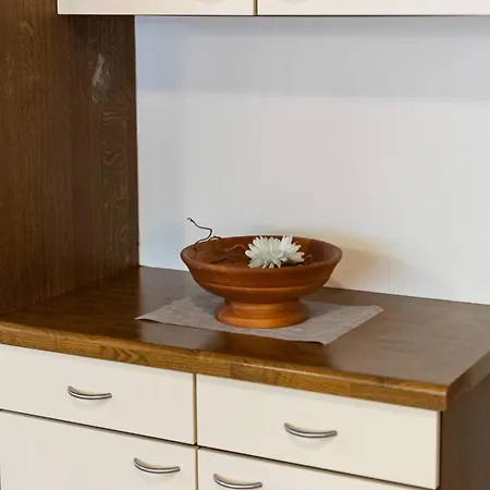 Apartment In Near Slopes, Cleaning Included Grossarl